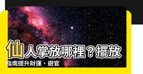 仙人掌風水|仙人掌風水指南：提升居家能量與幸福感 